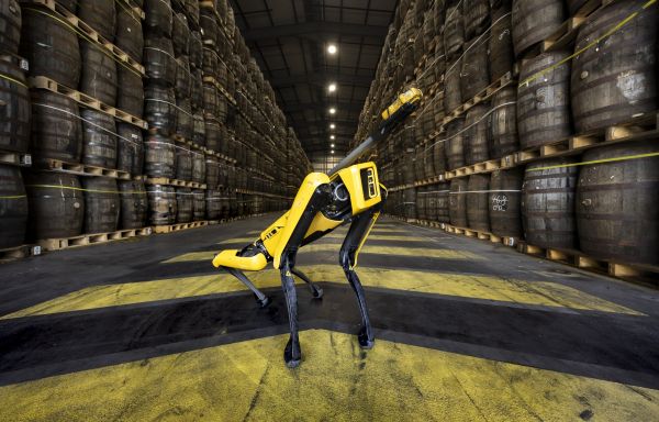Royal Barkla, the whisky sniffing robotic dog
